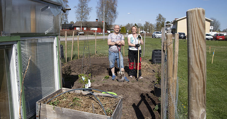 Johan och Ann-Charlotte Burman arbetar i en av våra odlingslotter. 