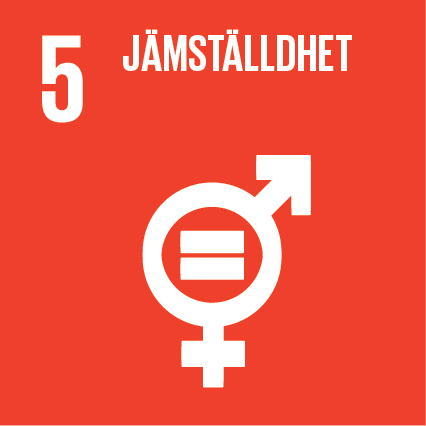 Globala mål nummer 5 jämställdhet