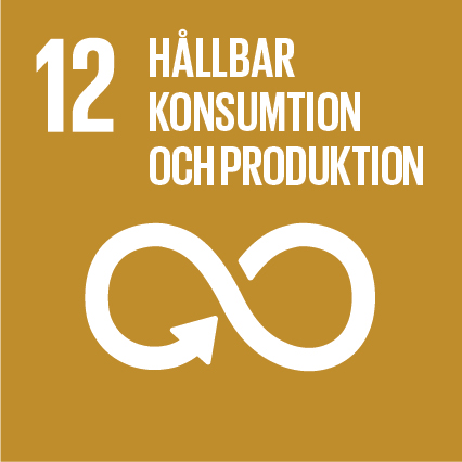 Globala målen nr 12, hållbar konsumtion och produktion