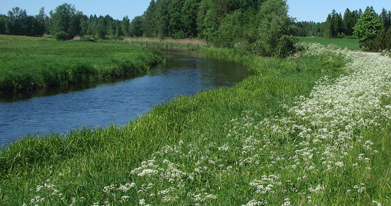 Nossan med ängar