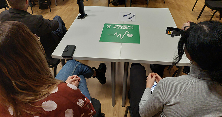 Deltagare på utbildning i Agenda 2030